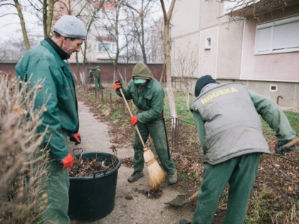 Programul curățeniei de toamnă în municipiul Arad