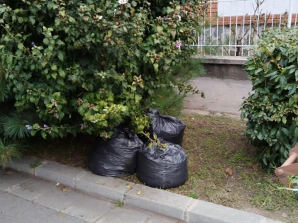 Programul de colectare gratuită a biodeșeurilor provenite din grădini și parcuri și a deșeurilor voluminoase