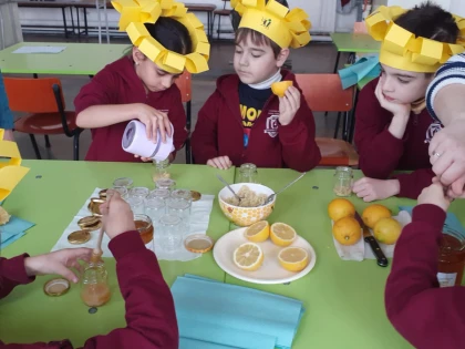 Proiect desfășurat împreună cu Ambasada Sloveniei, la Colegiul Național "Elena Ghiba Birta"