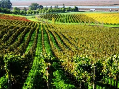 Promovarea Podgoriei Miniș Măderat, prin hărți turistice
