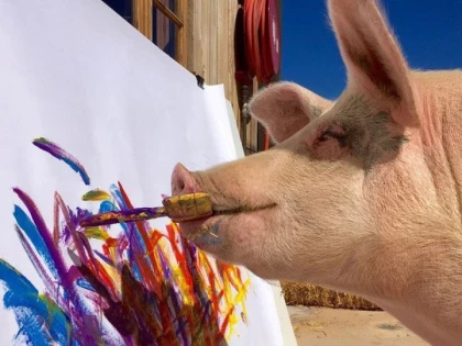 Purcica Pigcasso, celebră pentru picturile sale