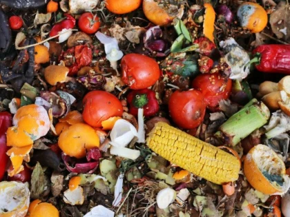 Raport ONU: Oamenii aruncă anual aproape un miliard de tone de alimente