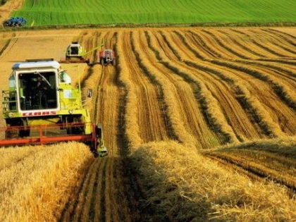 Recensământ agricol de probă în trei comune din Județul Arad