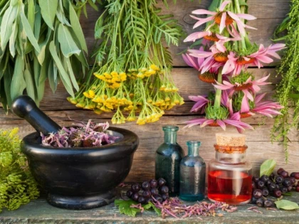 Remediu pe bază de plante apreciat încă din Evul Mediu