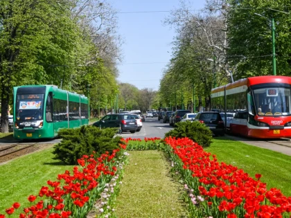 Restricții în circulația tramvaielor pe tronsonul Podgoria – Piața Romană