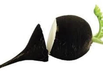 RIDICHEA NEAGRA, ALIATUL NATURAL IN CAZ DE GRIPA SI RACEALA