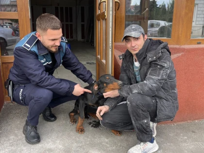 „Rocky se întoarce" - operațiune încheiată cu succes a polițiștilor