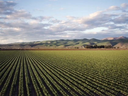România a fost al şaptelea producător agricol din UE în 2023