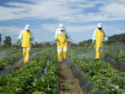 România, avertizată de Comisia Europeană din cauza pesticidelor și a animalelor vii transportate vara în Turcia