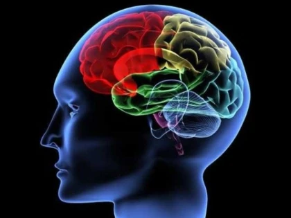 ROMÂNIA, PE LOCUL TREI ÎN EUROPA LA INCIDENȚA BOLILOR CEREBROVASCULARE