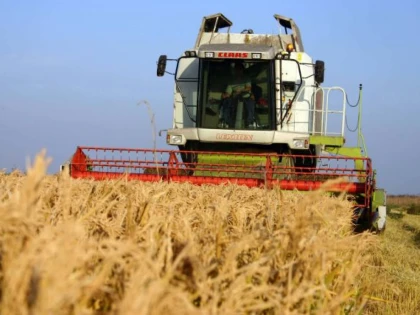 România se menține în topul exportatorilor de cereale