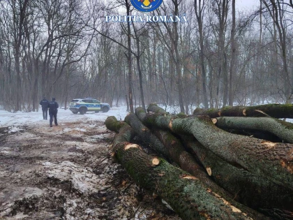 Românii vor putea face reclamații anonime pentru tăieri ilegale și braconaj. Garda Forestieră schimbă regulile