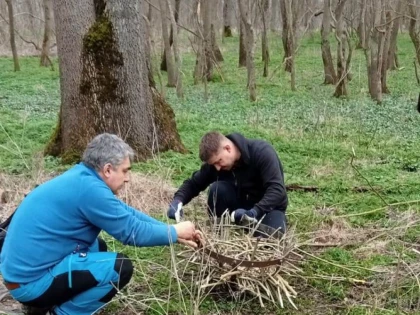 Romsilva a montat în Parcul Natural Lunca Mureșului 120 de cuiburi artificiale pentru păsări