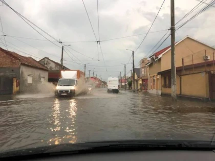 Rupere de nori la Arad: străzi inundate şi copaci puşi la pământ