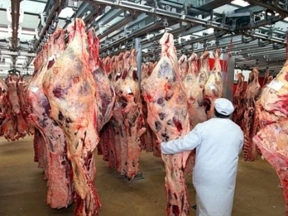 RUSIA INTERZICE IMPORTUL DE BOVINE SI CARNE DE VITA DIN ROMANIA