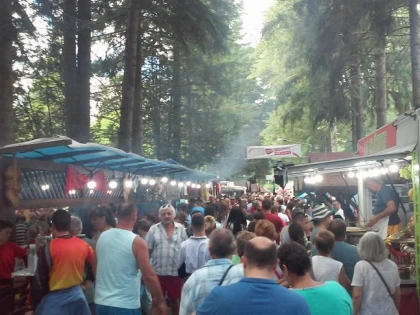 Sabotaj la Parada Clătitelor! „Nu au lăsat autobuzele să plece spre Moneasa”
