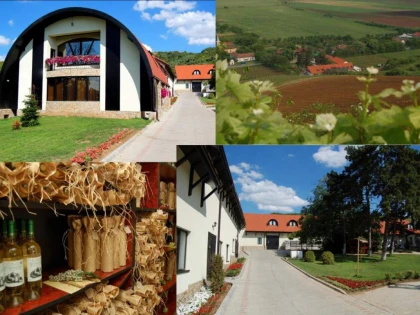 Sâmbătă începe Circuitul Cramelor din Podgoria Aradului