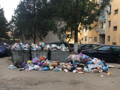 Sănătatea elevilor arădeni, pusă în pericol de gunoiul din jurul școlilor. IȘJ reacționează!