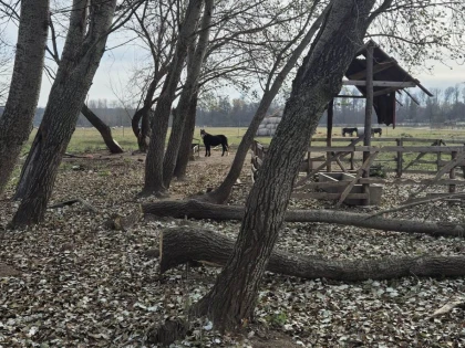 Sancțiuni în valoare de 6500 de lei, aplicate în luna noiembrie de Administrația Parcului Natural Lunca Mureșului