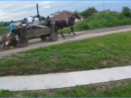„Scăpa“ gunoaie din căruță, prin cartierul Alfa