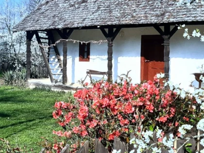 Se caută familii care să locuiască în case ale Muzeul Satului Bănățean