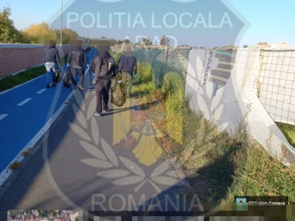 Se curăță Aradul, cu cinci șomeri și șapte persoane obligate de judecători să presteze muncă benevolă