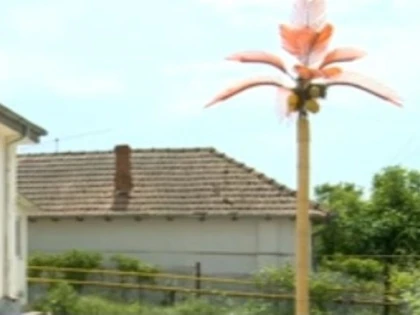 SE INTAMPLA IN ROMANIA. COMUNA CU PALMIERI, DAR FARA CANALIZARE