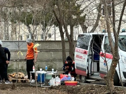 Se întâmplă în România! Porci descărcați din ambulanță și sacrificați în parc