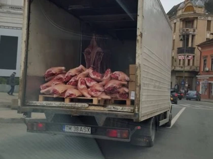 SE INTAMPLA LA ARAD: PLIMBARE CU CARNEA DE PORC PRIN CENTRUL ORASULUI