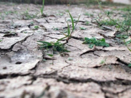 Secetă moderată, puternică şi extremă pe suprafețe agricole extinse din țară