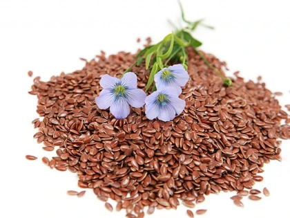 SEMINTELE DE IN SUNT O SURSA IMPORTANTA DE VITAMINE SI MINERALE