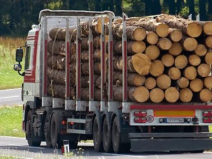 Și tu poți să fii ”Inspectorul Pădurii”! Recomandările IPJ Arad