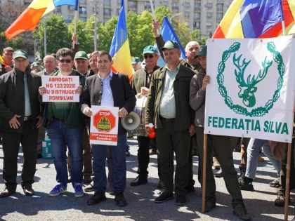 Silvicultorii avertizează: Noua lege a salarizării le-ar putea reduce veniturile cu 25%