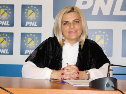 SIMONA STAN (PNL): PSD TERGIVERSEAZA LEGEA PRIVIND CONCEDIUL DE MATERNITATE SI CRESTEREA INDEMNIZATIILOR PENTRU MAME