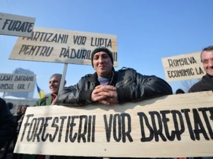SINDICALIȘTII FORESTIERI CER DEMISIA MINISTRULUI MEDIULUI