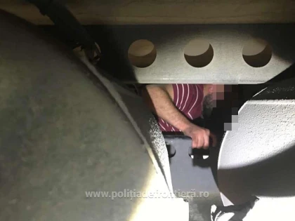 Sirian ascuns sub remorca unui automarfar, descoperit în vama Nădlac