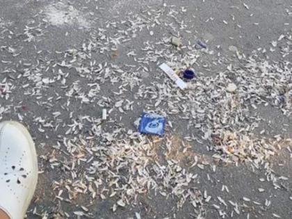 „Șmenar“, pus de polițiștii locali să măture, după ce scuipa, dintr-un bolid de lux, coji de semnițe pe jos