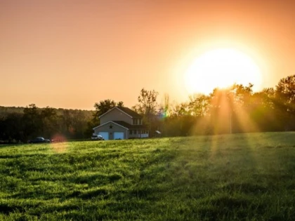 Soarele, vitamina D și sistemul imunitar