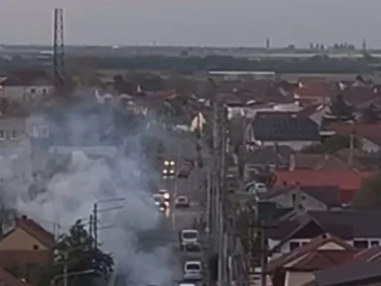 Șofer din Arad amendat după ce și-a turat mașina. A umplut o stradă de fum