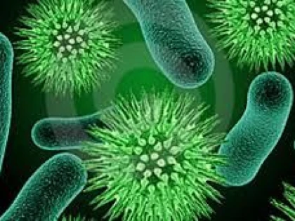 SPECIALISTII ROMANI AU DESCOPERIT SPECII DE BACTERII CU PROPRIETATI DEPOLUANTE