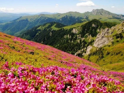 SPECTACOLUL NATURII DE LA MUNTELE ROȘU