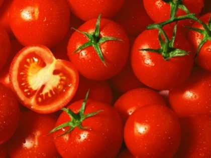 Sprijin de 115 milioane de euro pentru sectorul vegetal