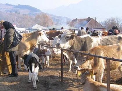 SPRIJIN FINACIAR PENTRU CRESCĂTORII DE ANIMALE