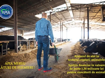 Sprijin financiar în valoare de peste 1,34 milioane lei pentru crescătorii de animale