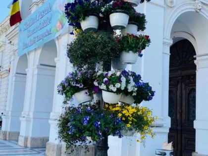 Stâlpii împopoțonați cu flori - un nou kitsch pe fața Aradului, marca Bibarț