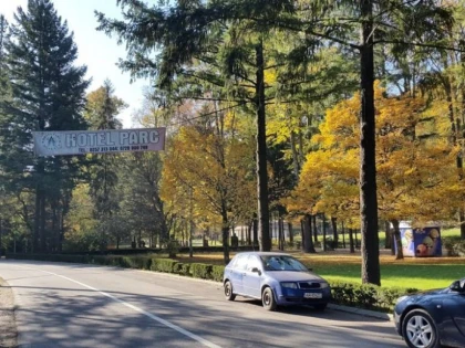 STATIUNEA MONEASA RAMANE PATRU ZILE FARA CURENT ELECTRIC, DIN CAUZA UNOR TAIERI DE ARBORI