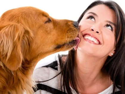 STUDIU: PERSONALITATEA ANIMALELOR POATE FI UN FACTOR CHEIE PENTRU SUPRAVIETUIREA LOR
