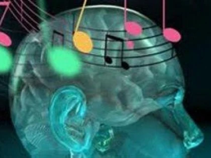 SUNETUL PRODUS DE CRANIU AR PUTEA ÎNLOCUI PAROLA DIN MEDIUL ONLINE