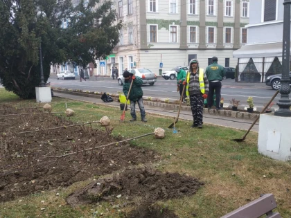 Sute de arbori ornamentali urmează să fie plantați în Arad