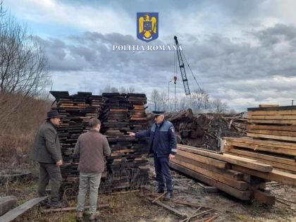 Sute de metri cubi de lemn au fost confiscați de la o firmă din Bârzava